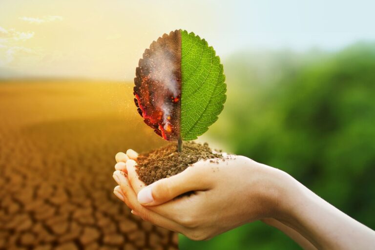 saiba-o-que-e-impacto-ambiental-positivo-e-negativo