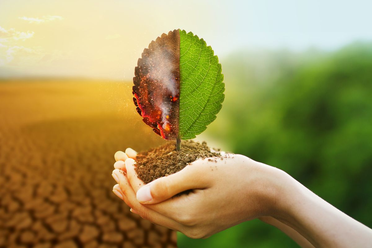 saiba-o-que-e-impacto-ambiental-positivo-e-negativo
