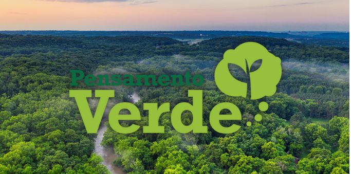 pensamento-verde-2