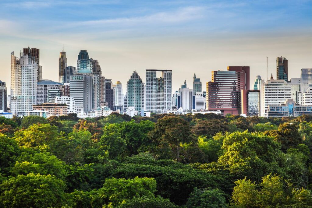 por-que-comemorar-o-dia-mundial-do-meio-ambiente
